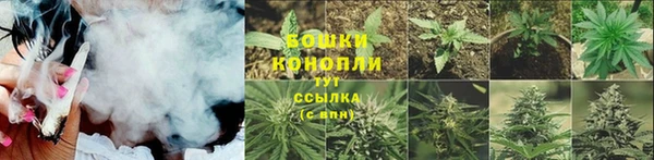 индика Вязьма