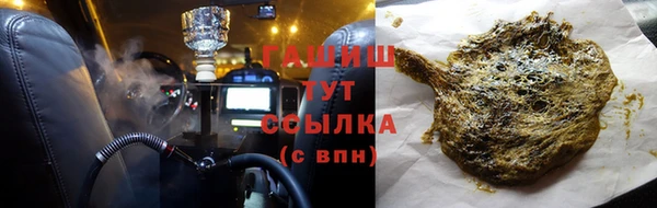 молекула духа Вяземский