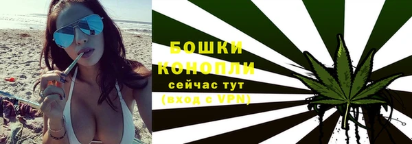 молекула духа Вяземский