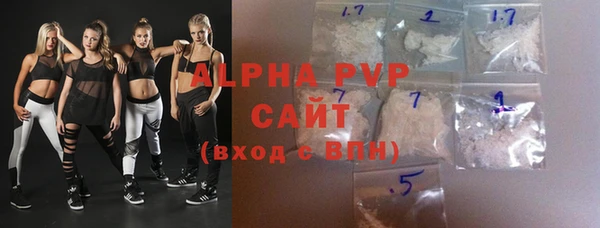 молекула духа Вяземский
