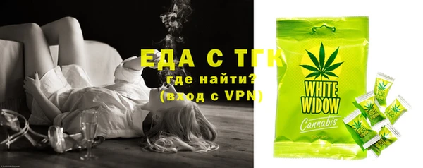 индика Вязьма