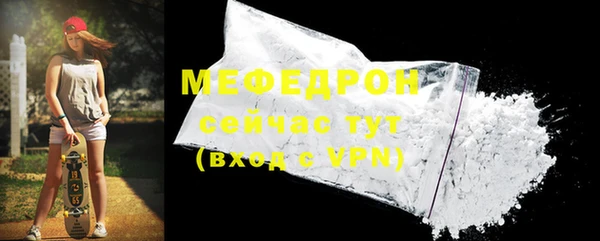 молекула духа Вяземский
