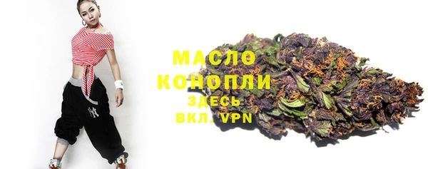 индика Вязьма