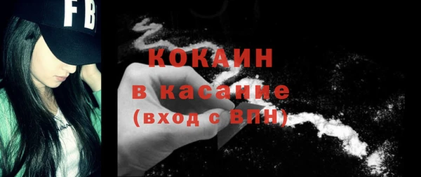 индика Вязьма