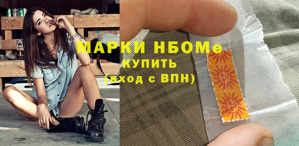 молекула духа Вяземский