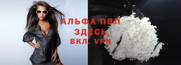 индика Вязьма