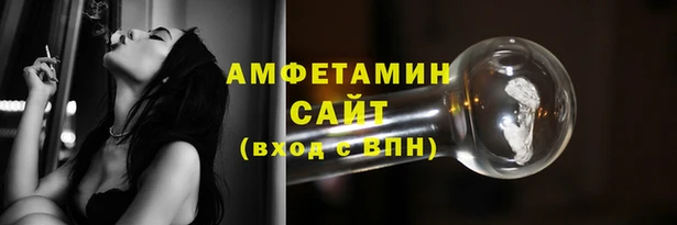 молекула духа Вяземский