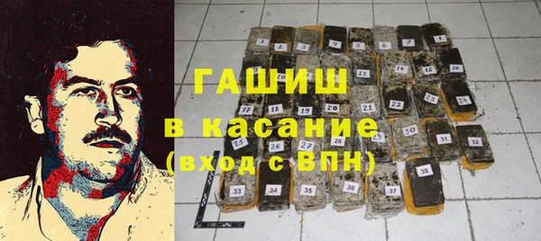 индика Вязьма