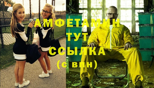 ПСИЛОЦИБИНОВЫЕ ГРИБЫ Горнозаводск
