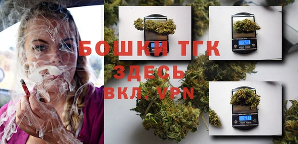 сатива Горно-Алтайск