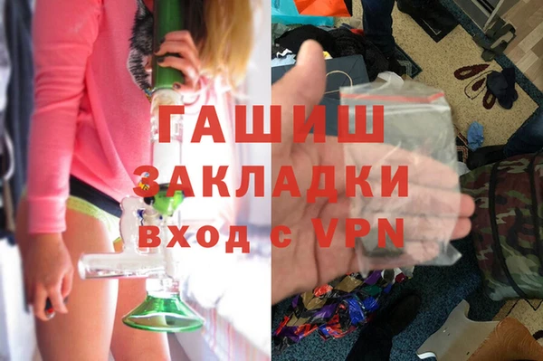 индика Вязьма