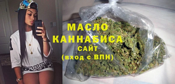 молекула духа Вяземский