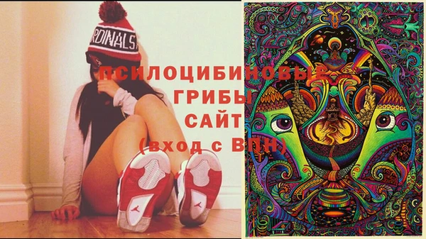 ПСИЛОЦИБИНОВЫЕ ГРИБЫ Горнозаводск