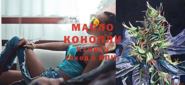 молекула духа Вяземский