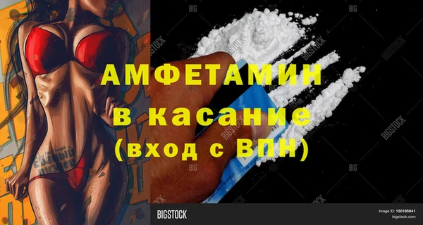 индика Вязьма
