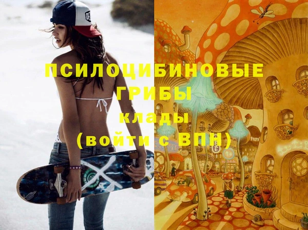 spice Горняк