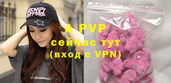 молекула духа Вяземский