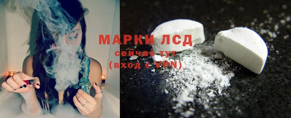 индика Вязьма