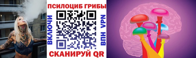 Галлюциногенные грибы Psilocybine cubensis  Западная Двина 